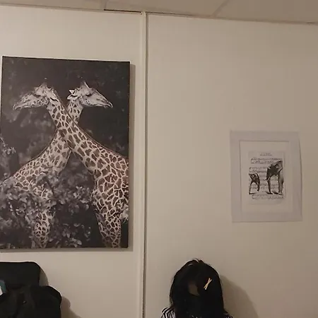 Cosy 33 Appartement *