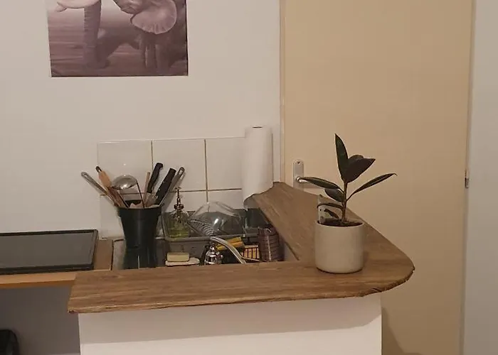 Cosy 33 Bassens (Gironde)